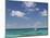 Turquoise Water and Dive Boat, Cockburn Town, Grand Turk Island, Turks and Caicos-Walter Bibikow-Mounted Photographic Print