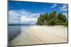 Turquoise water and white sand beach, White Island, Buka, Bougainville, Papua New Guinea, Pacific-Michael Runkel-Mounted Photographic Print