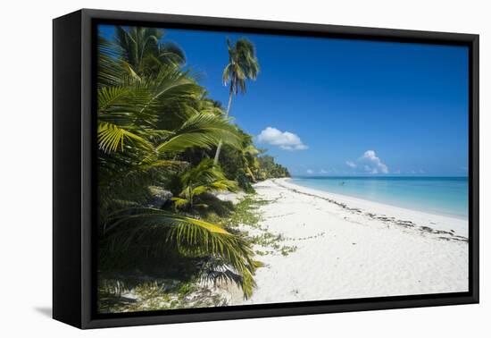 Turquoise waters and white sand beach, Ouvea, Loyalty Islands, New Caledonia, Pacific-Michael Runkel-Framed Premier Image Canvas