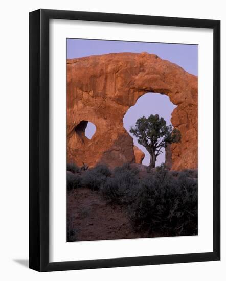 Turret Arch with Utah Juniper, Arches National Park, Utah, USA-Jamie & Judy Wild-Framed Photographic Print