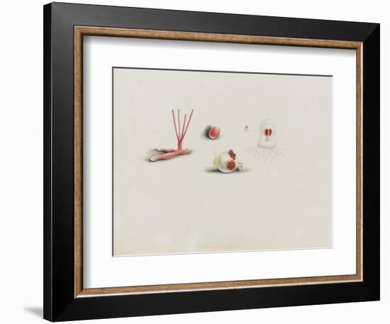 Turris Neglecta: Hydrozoan-Philip Henry Gosse-Framed Giclee Print