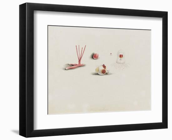 Turris Neglecta: Hydrozoan-Philip Henry Gosse-Framed Giclee Print