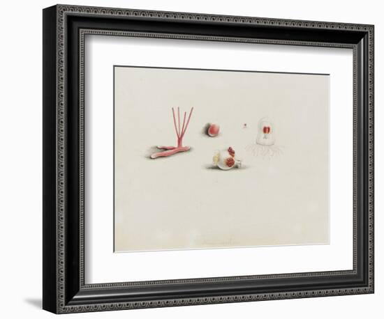 Turris Neglecta: Hydrozoan-Philip Henry Gosse-Framed Giclee Print