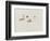 Turris Neglecta: Hydrozoan-Philip Henry Gosse-Framed Giclee Print