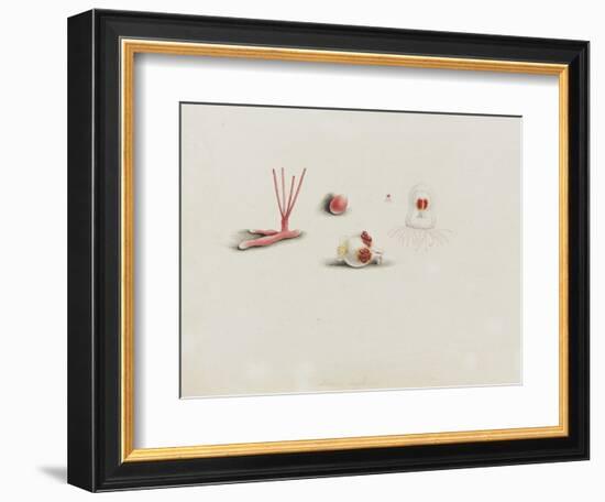 Turris Neglecta: Hydrozoan-Philip Henry Gosse-Framed Giclee Print