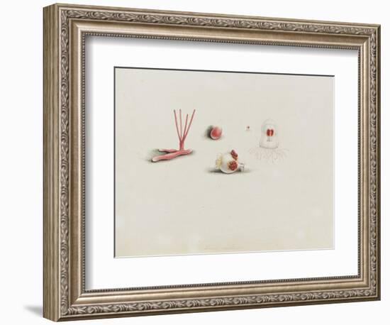 Turris Neglecta: Hydrozoan-Philip Henry Gosse-Framed Premium Giclee Print