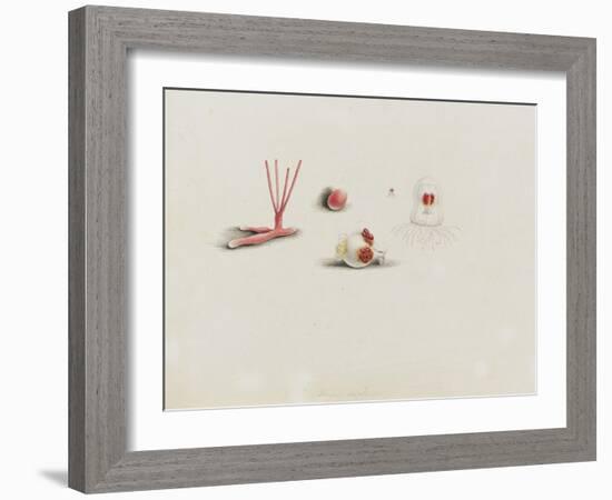 Turris Neglecta: Hydrozoan-Philip Henry Gosse-Framed Giclee Print