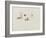 Turris Neglecta: Hydrozoan-Philip Henry Gosse-Framed Giclee Print