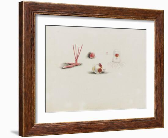 Turris Neglecta: Hydrozoan-Philip Henry Gosse-Framed Giclee Print