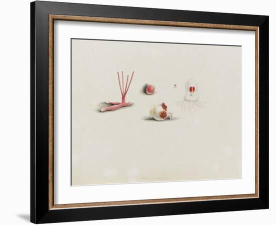 Turris Neglecta: Hydrozoan-Philip Henry Gosse-Framed Giclee Print