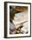 Turron (Spain), Torrone (Italy) or Nougat (Morocco), Confection of Honey, Sugar, Egg White and Nuts-Nico Tondini-Framed Photographic Print