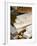 Turron (Spain), Torrone (Italy) or Nougat (Morocco), Confection of Honey, Sugar, Egg White and Nuts-Nico Tondini-Framed Photographic Print