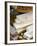 Turron (Spain), Torrone (Italy) or Nougat (Morocco), Confection of Honey, Sugar, Egg White and Nuts-Nico Tondini-Framed Photographic Print