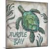 Turtle Bay-Todd Williams-Mounted Art Print