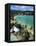 Turtle Beach, Ocho Rios, Jamaica-Doug Pearson-Framed Premier Image Canvas