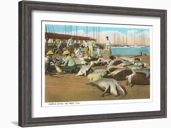 Turtle Catch, Key West, Florida-null-Framed Art Print