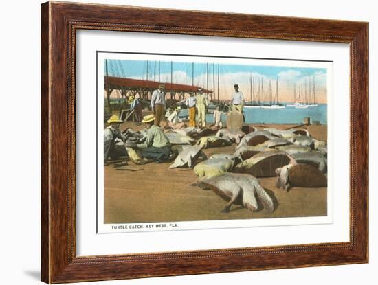 Turtle Catch, Key West, Florida-null-Framed Art Print