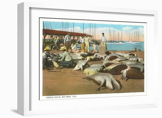 Turtle Catch, Key West, Florida-null-Framed Art Print