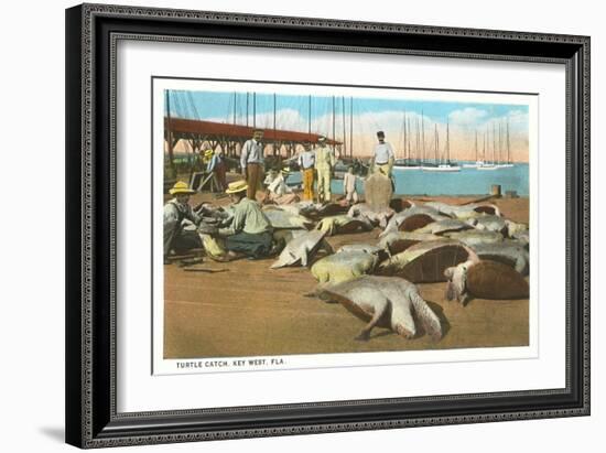 Turtle Catch, Key West, Florida-null-Framed Art Print