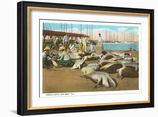 Turtle Catch, Key West, Florida-null-Framed Art Print