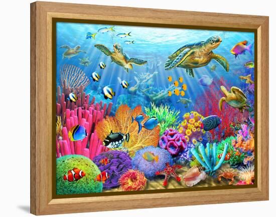 Turtle Coral Reef-Adrian Chesterman-Framed Stretched Canvas