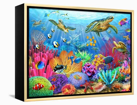 Turtle Coral Reef-Adrian Chesterman-Framed Stretched Canvas