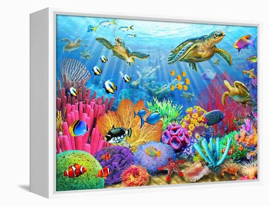 Turtle Coral Reef-Adrian Chesterman-Framed Stretched Canvas