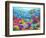 Turtle Coral Reef-Adrian Chesterman-Framed Premium Giclee Print