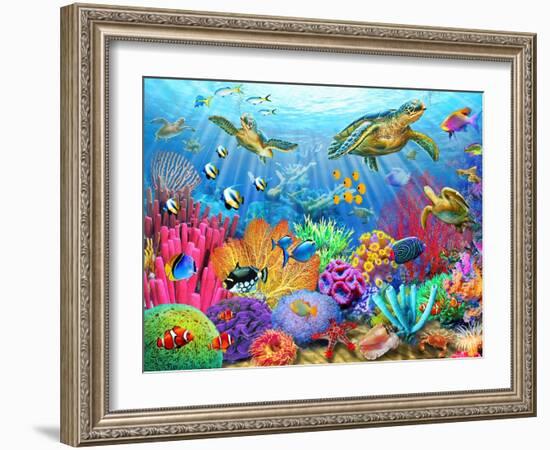 Turtle Coral Reef-Adrian Chesterman-Framed Art Print