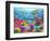 Turtle Coral Reef-Adrian Chesterman-Framed Art Print