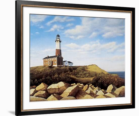 Turtle Cove Hill-Daniel Pollera-Framed Art Print