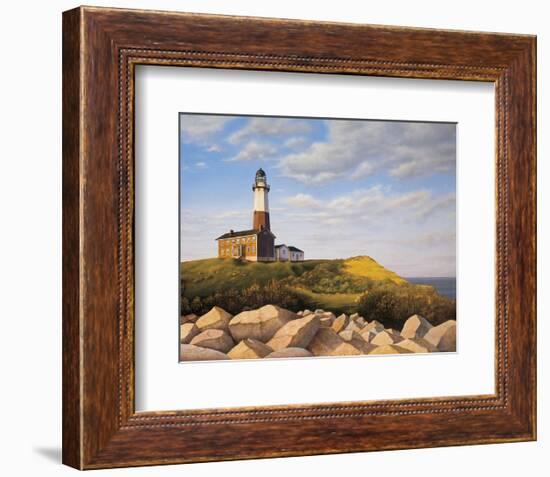 Turtle Cove Hill-Daniel Pollera-Framed Art Print