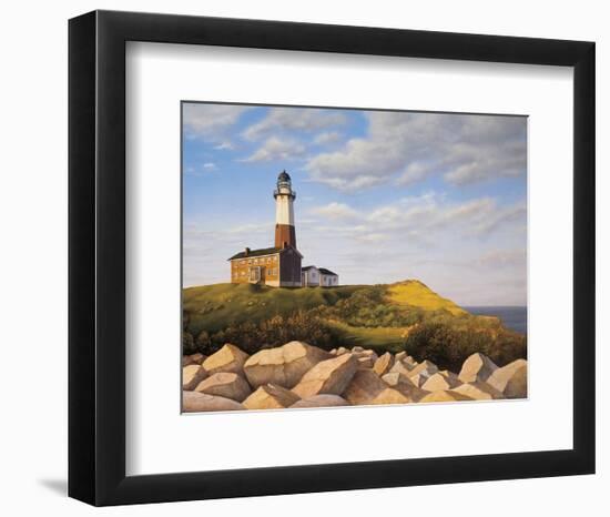 Turtle Cove Hill-Daniel Pollera-Framed Art Print