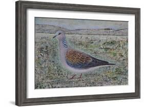Turtle Dove-Ruth Addinall-Framed Giclee Print
