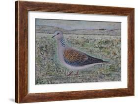 Turtle Dove-Ruth Addinall-Framed Giclee Print