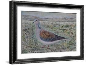 Turtle Dove-Ruth Addinall-Framed Giclee Print