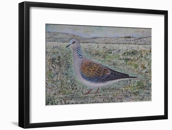 Turtle Dove-Ruth Addinall-Framed Giclee Print