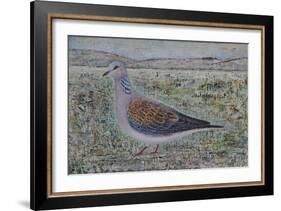 Turtle Dove-Ruth Addinall-Framed Giclee Print