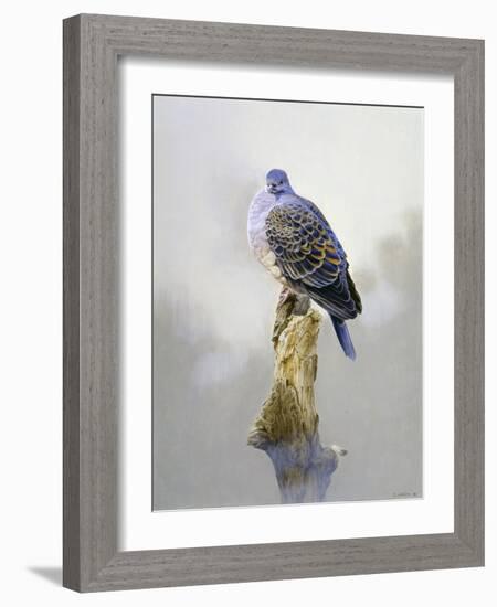 Turtle Dove-Joh Naito-Framed Giclee Print