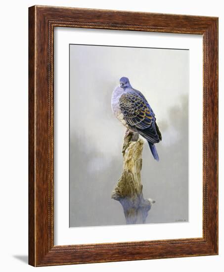 Turtle Dove-Joh Naito-Framed Giclee Print