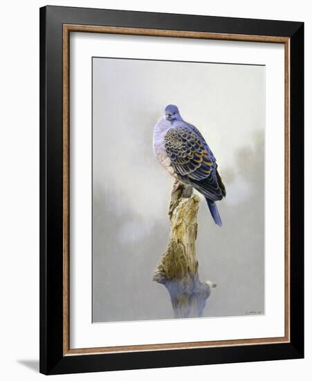 Turtle Dove-Joh Naito-Framed Giclee Print