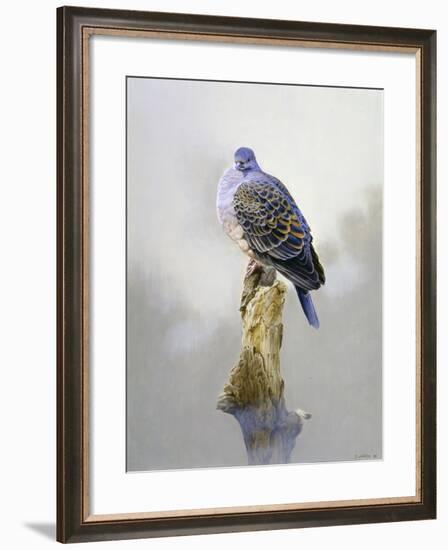 Turtle Dove-Joh Naito-Framed Giclee Print