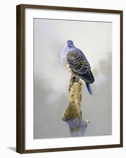 Turtle Dove-Joh Naito-Framed Giclee Print