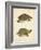 Turtle Duo IV-J.W. Hill-Framed Art Print