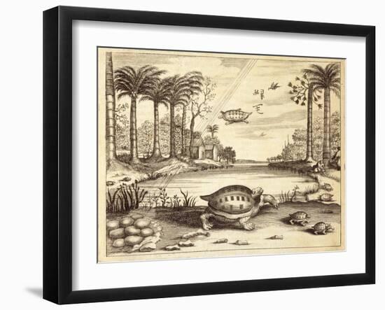 Turtle Eggs Hatching, from 'China Illustrated' by Athanasius Kircher (1601-80) 1667-null-Framed Giclee Print