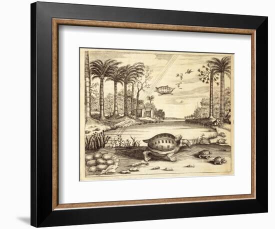 Turtle Eggs Hatching, from 'China Illustrated' by Athanasius Kircher (1601-80) 1667-null-Framed Giclee Print
