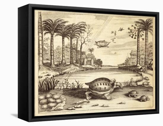 Turtle Eggs Hatching, from 'China Illustrated' by Athanasius Kircher (1601-80) 1667-null-Framed Premier Image Canvas