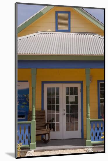 Turtle Farm, Grand Cayman, Cayman Islands, British West Indies-Lisa S. Engelbrecht-Mounted Photographic Print