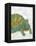 Turtle Friends I-Chariklia Zarris-Framed Stretched Canvas