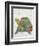 Turtle Friends II-Chariklia Zarris-Framed Art Print